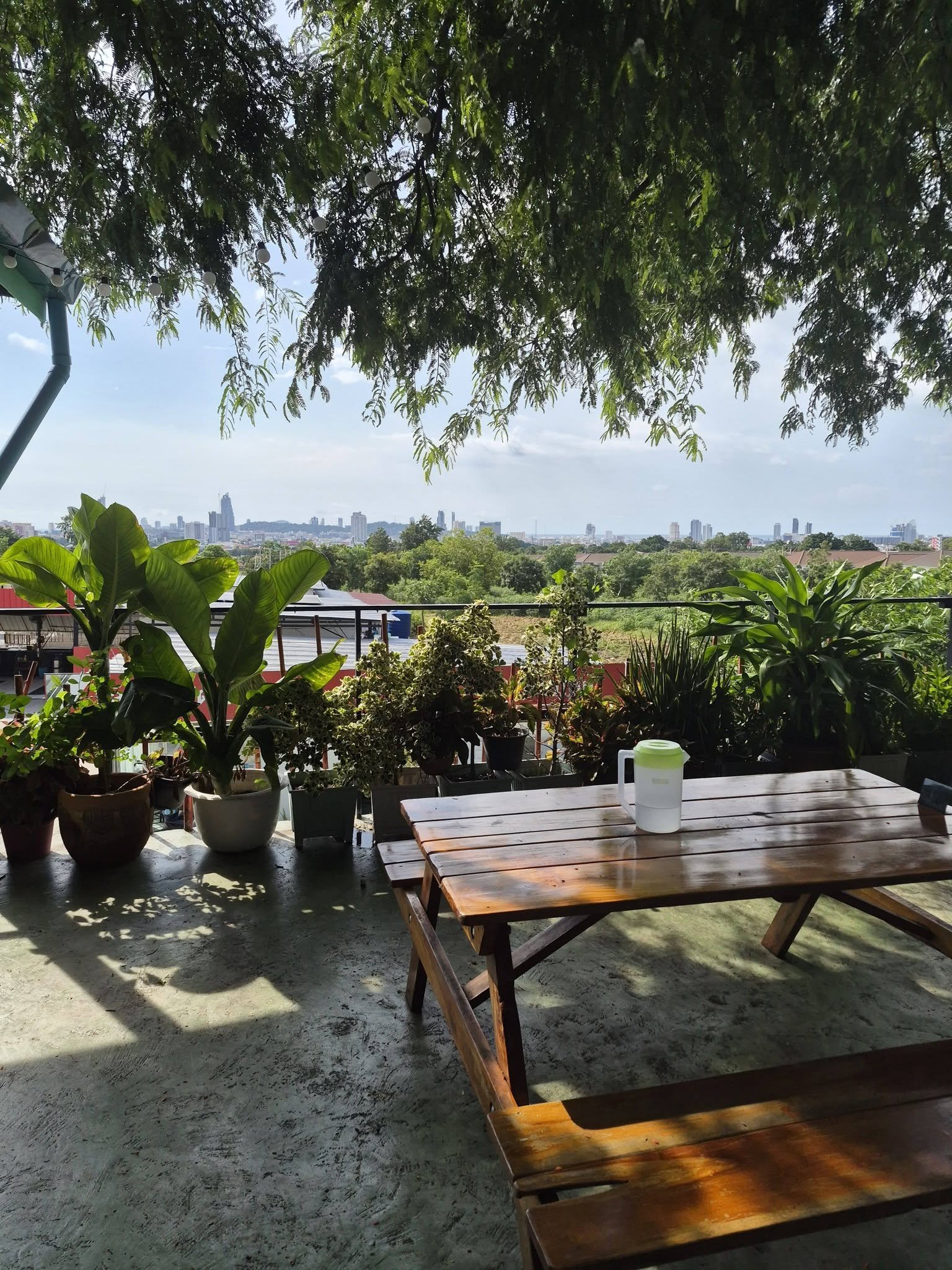 N 034 เซ้งและให้เช่า ร้านอาหาร ร้าน ออนเดอะทรี หน้าวัดบุญสัมพันธุ์ เขาน้อย พัทยา
